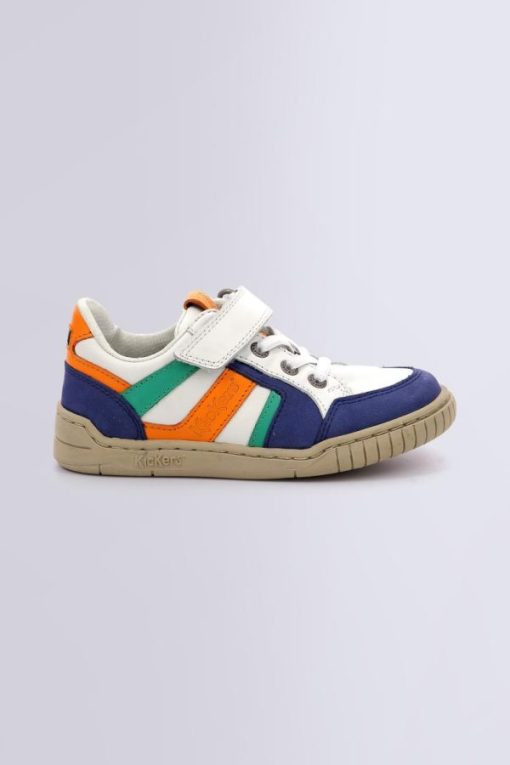 Ordercraze.shop00b88d2e36 2