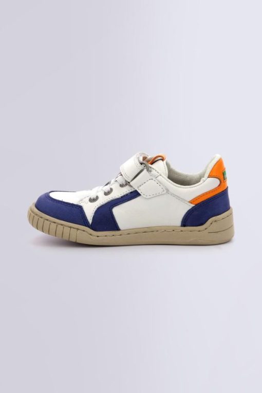 Ordercraze.shop00b88d2e36 3
