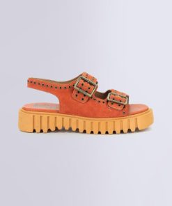 Ordercraze.shop036fce9201 2