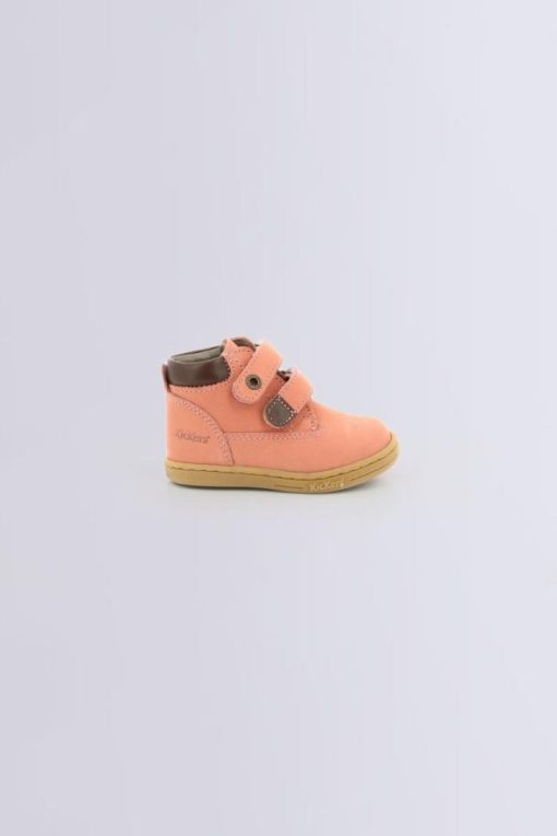Ordercraze.shop059714d287 2