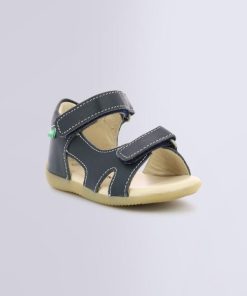 Ordercraze.shop0b1951b2c8 1