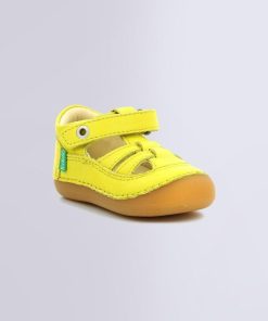 Ordercraze.shop0b21a17d5f 1