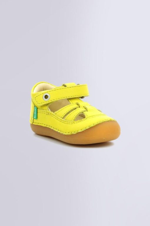 Ordercraze.shop0b21a17d5f 1