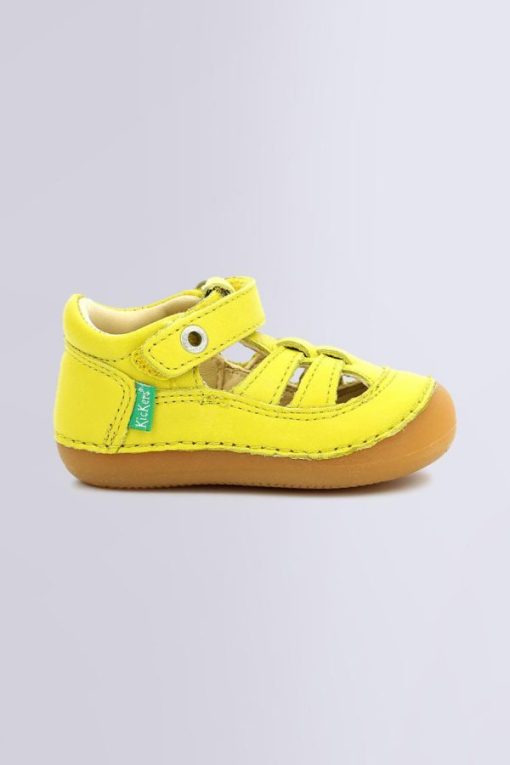 Ordercraze.shop0b21a17d5f 2
