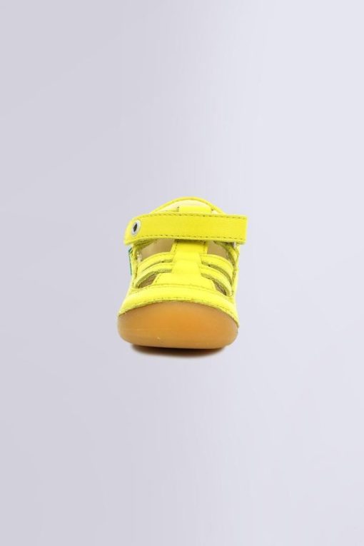 Ordercraze.shop0b21a17d5f 4