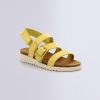 Ordercraze.shop0b7dc16d79 1