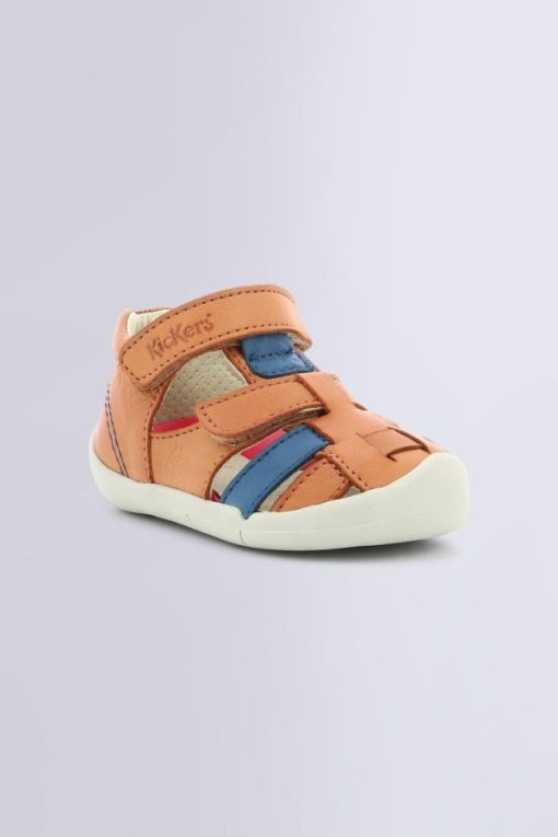 Ordercraze.shop0c056744a7 1