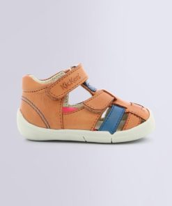 Ordercraze.shop0c056744a7 2