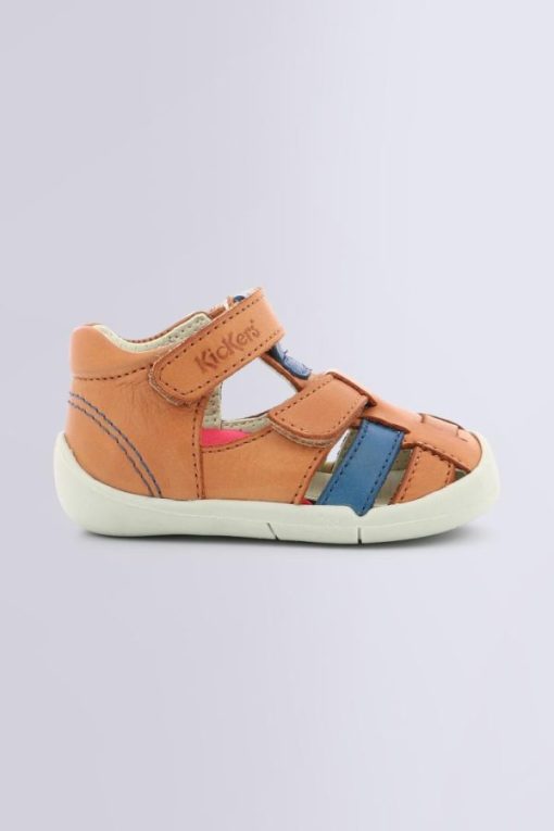 Ordercraze.shop0c056744a7 2