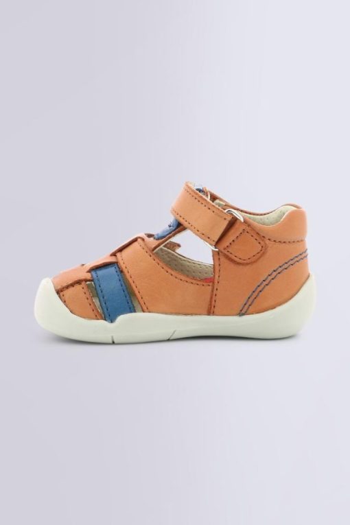 Ordercraze.shop0c056744a7 3