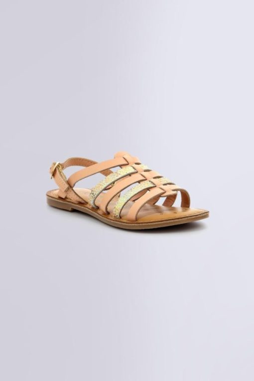 Ordercraze.shop0d5b262799 1