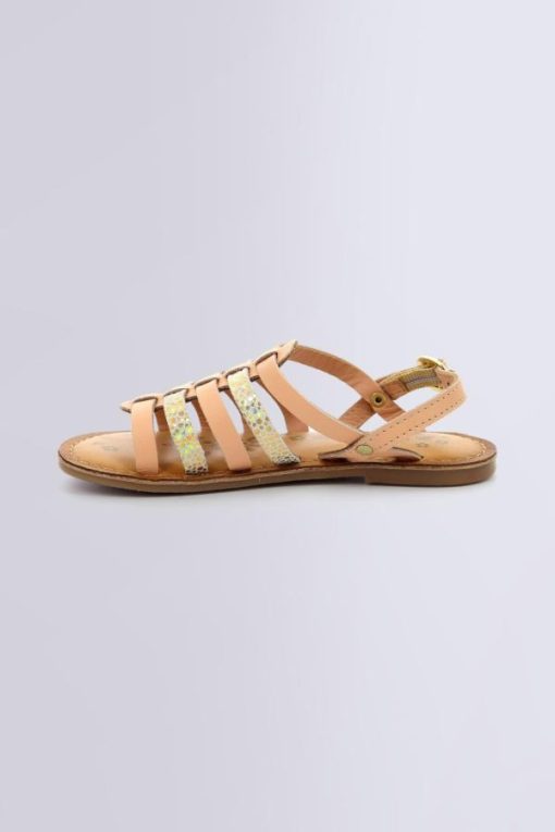 Ordercraze.shop0d5b262799 3