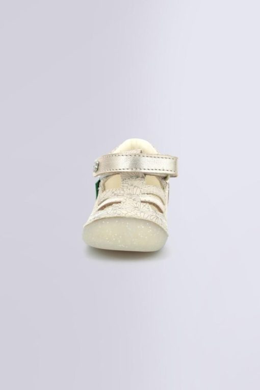Ordercraze.shop0e086cd0f4 4