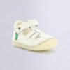 Ordercraze.shop0f638b49e5 1