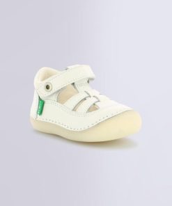 Ordercraze.shop0f638b49e5 1