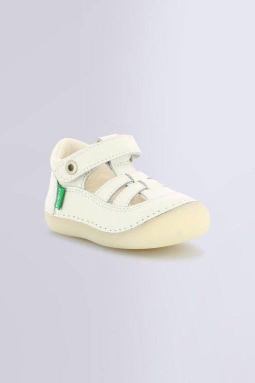 Ordercraze.shop0f638b49e5 1