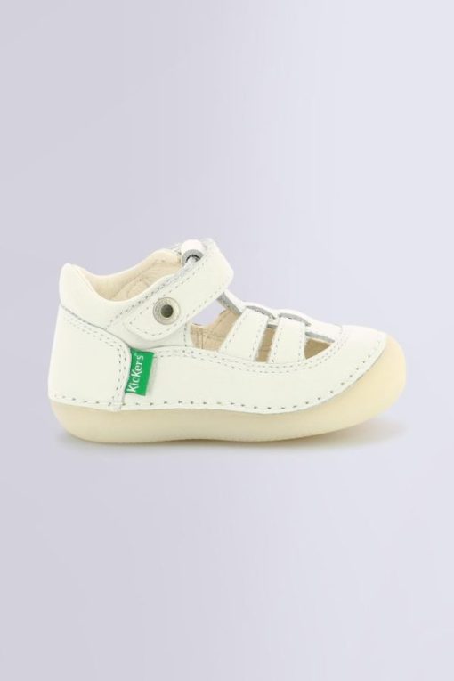 Ordercraze.shop0f638b49e5 2