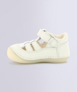 Ordercraze.shop0f638b49e5 3