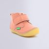 Ordercraze.shop10f7fd6a02 1