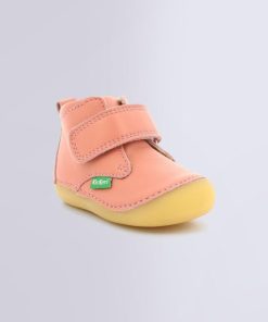 Ordercraze.shop10f7fd6a02 1