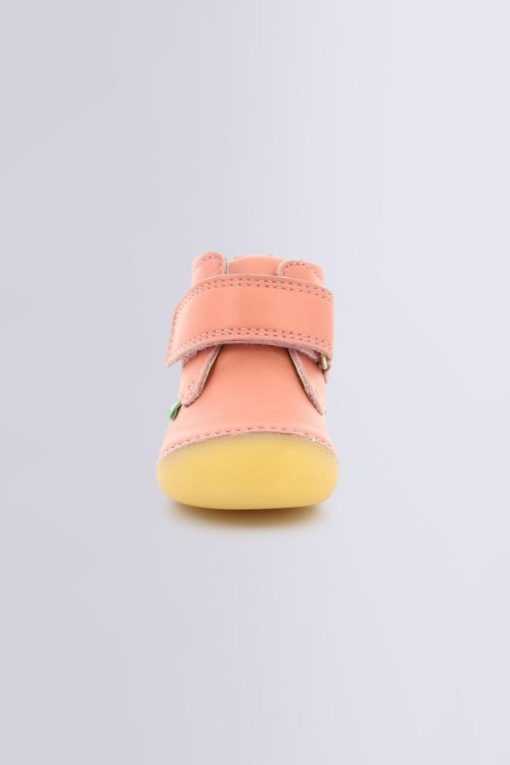 Ordercraze.shop10f7fd6a02 4