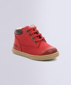 Ordercraze.shop1141f68693 1