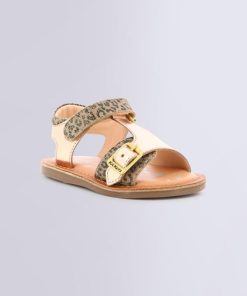 Ordercraze.shop1497676a31 1
