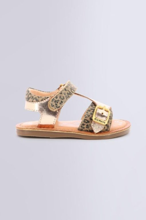 Ordercraze.shop1497676a31 2