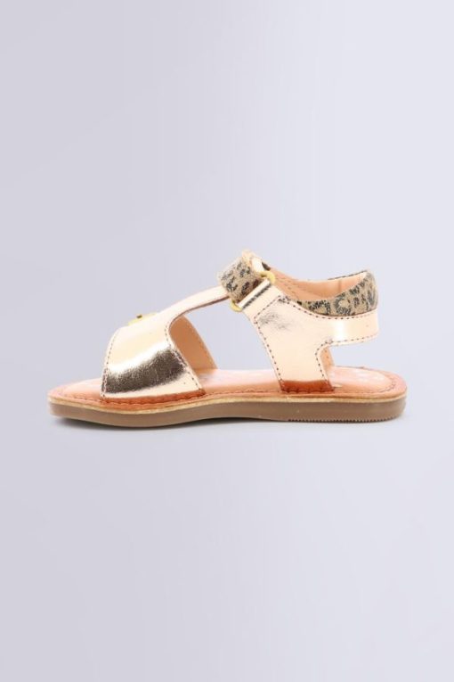 Ordercraze.shop1497676a31 3