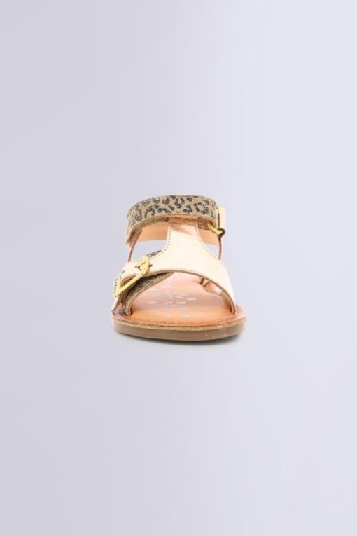 Ordercraze.shop1497676a31 4