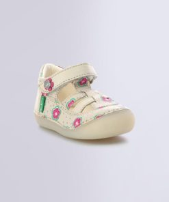 Ordercraze.shop1658776d2c 1
