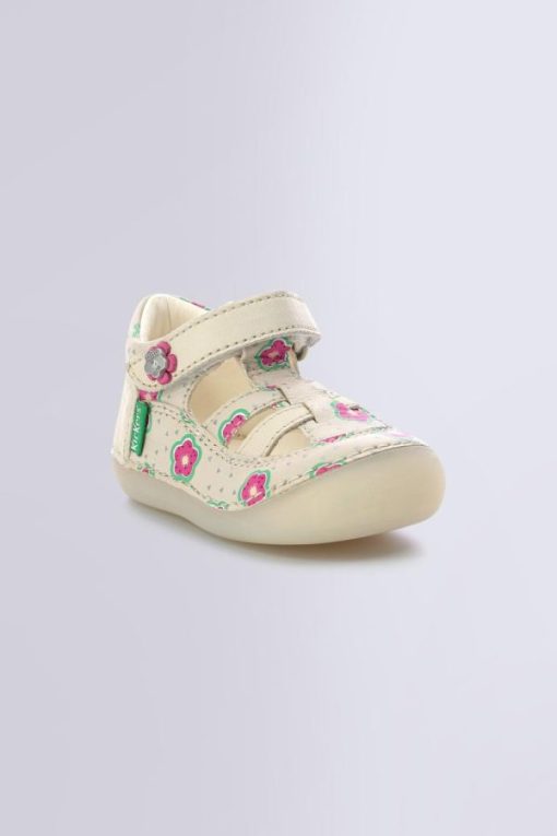 Ordercraze.shop1658776d2c 1