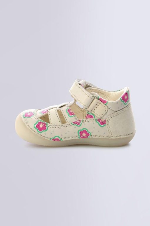 Ordercraze.shop1658776d2c 3