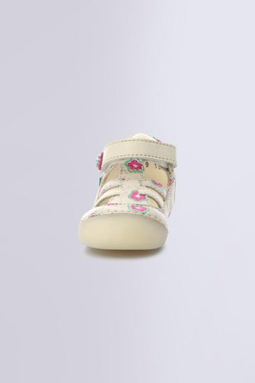 Ordercraze.shop1658776d2c 4