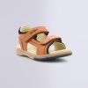 Ordercraze.shop169a8ca49d 1
