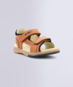 Ordercraze.shop169a8ca49d 1