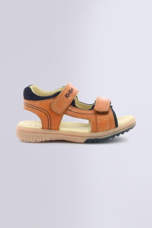 Ordercraze.shop169a8ca49d 2