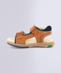 Ordercraze.shop169a8ca49d 3
