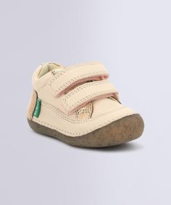 Ordercraze.shop1841481c12 1