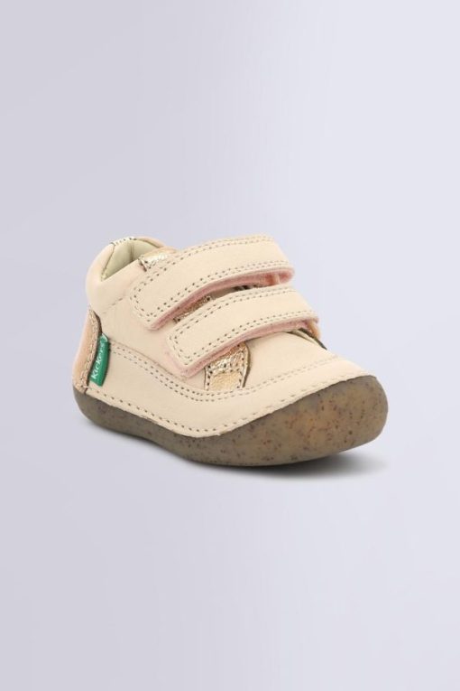 Ordercraze.shop1841481c12 1
