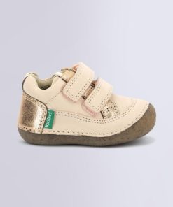 Ordercraze.shop1841481c12 2