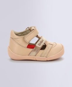 Ordercraze.shop1865b9eb7d 2