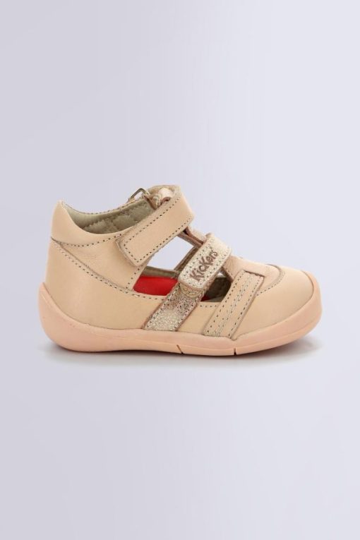 Ordercraze.shop1865b9eb7d 2