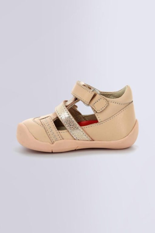 Ordercraze.shop1865b9eb7d 3