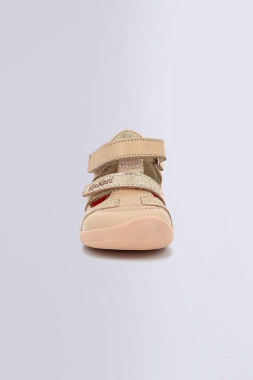 Ordercraze.shop1865b9eb7d 4