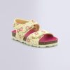 Ordercraze.shop1bf6282c07 1