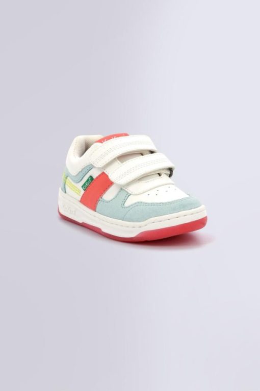 Ordercraze.shop1cdf285720 1