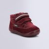 Ordercraze.shop1cfb2abcf0 1