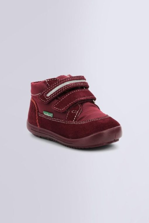 Ordercraze.shop1cfb2abcf0 1