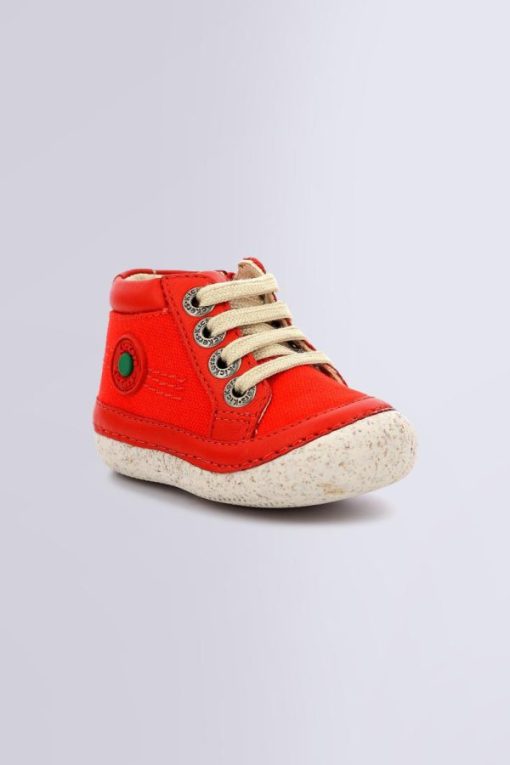 Ordercraze.shop1d26406b0d 1